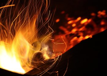 Embrace the Great Outdoors: Elevate Your Outdoor Living Experience