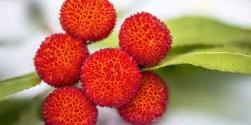 A Guide to Water Storage Solutions: Ensuring a Safe and Reliable Water Supply