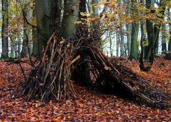 Surviving the Concrete Jungle: A Guide to Urban Preparedness