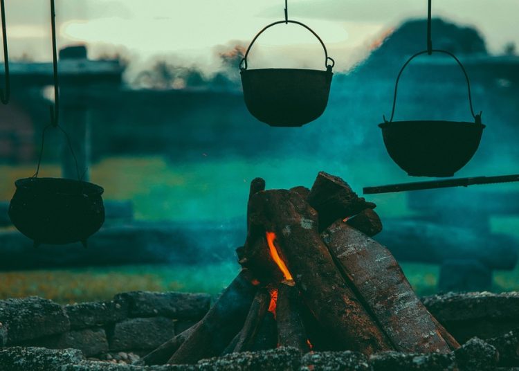 Unleashing the Flavor: Exploring the Art of Wild Food Cooking