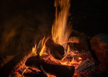 Embracing the Wild: Thriving in Wilderness Living