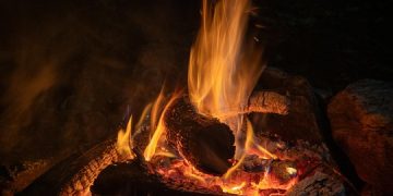 Embracing the Wild: Thriving in Wilderness Living