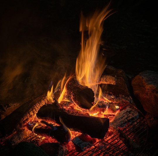 Embracing the Wild: Thriving in Wilderness Living